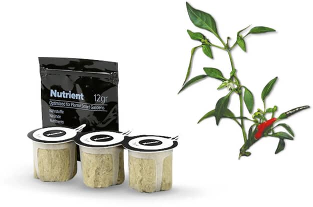 Bosch Herb Jar - 17002616